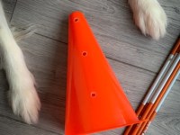 How to build a DIY jump agility for&nbsp;dogs